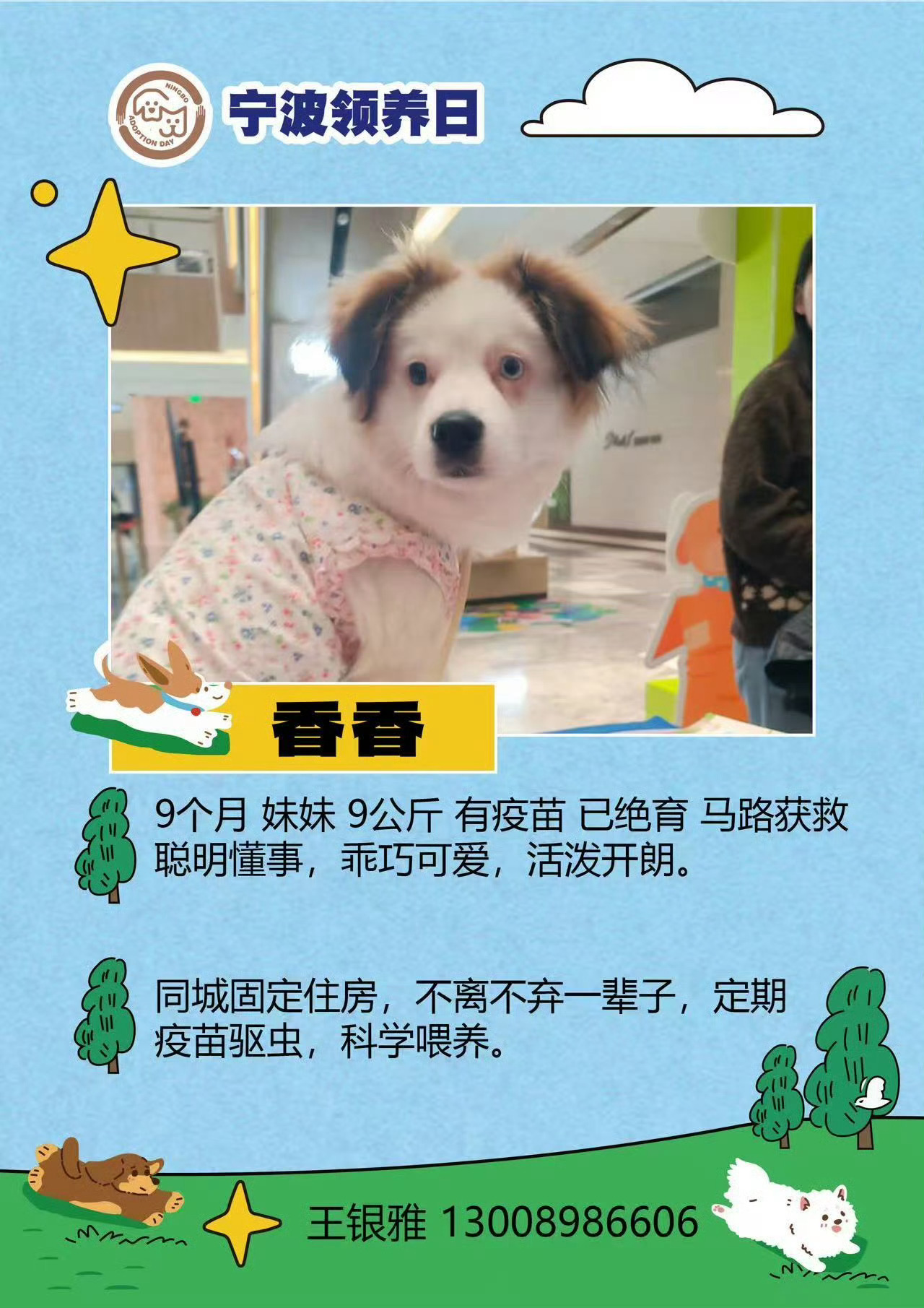 宁波领养日快闪来了  🐱🐶6月26-27日（周五-周六）下午16:00-19