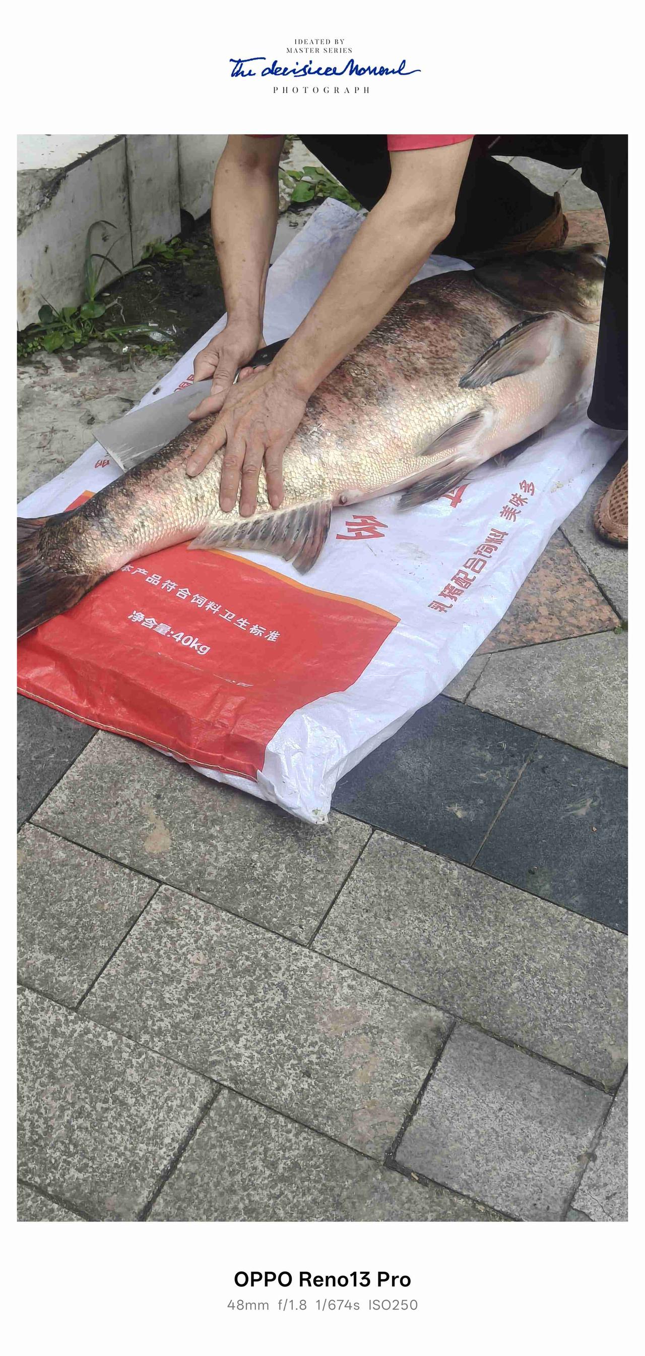 我的今日状态：😁轻松愉快
我这里的天气：☀️晴天

今日遇上一件稀罕事！朋友收