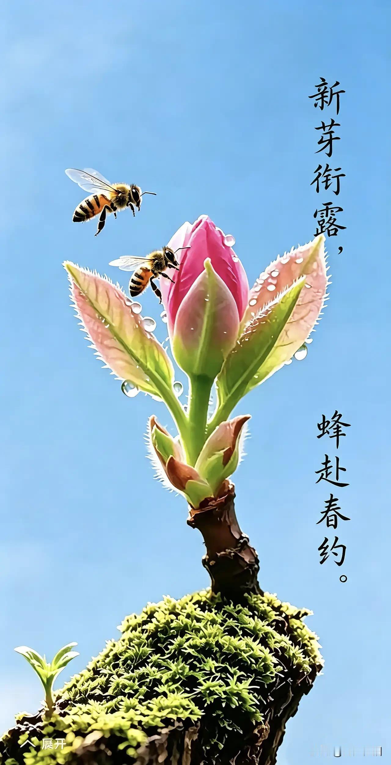 《七律·逐光》
 
莫叹成功有捷径，
从来功业赖深耕。
今朝步履藏丘壑，
他日风