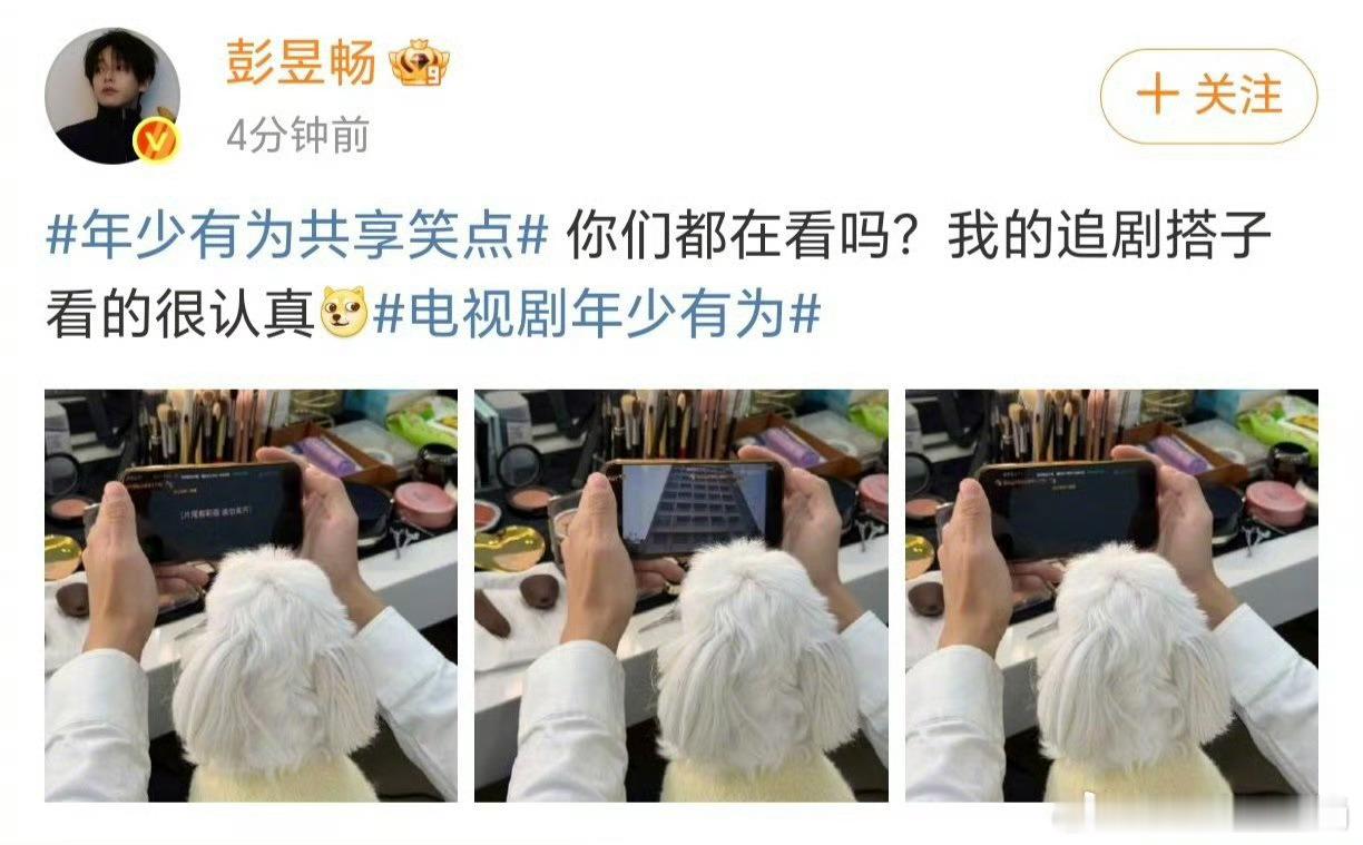 彭昱畅的追剧搭子是小狗谁能拒绝一只会陪你等彩蛋的修狗呢？彭昱畅和小狗沉浸式追《年