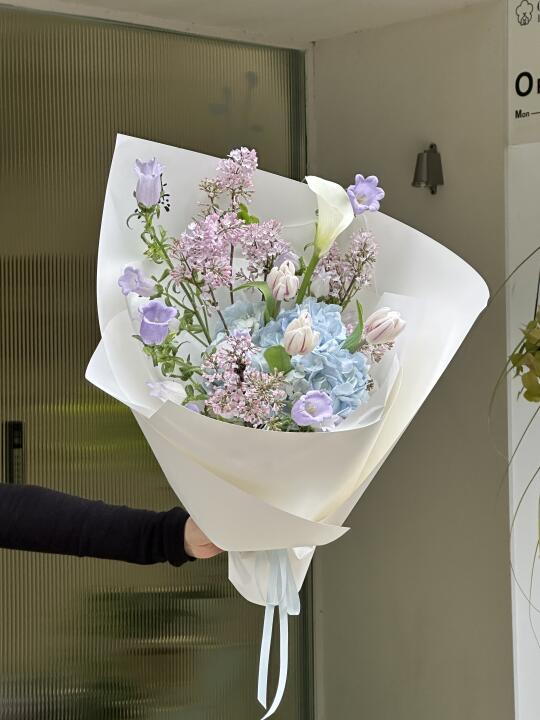 春天里的冷色调🩵✨✨