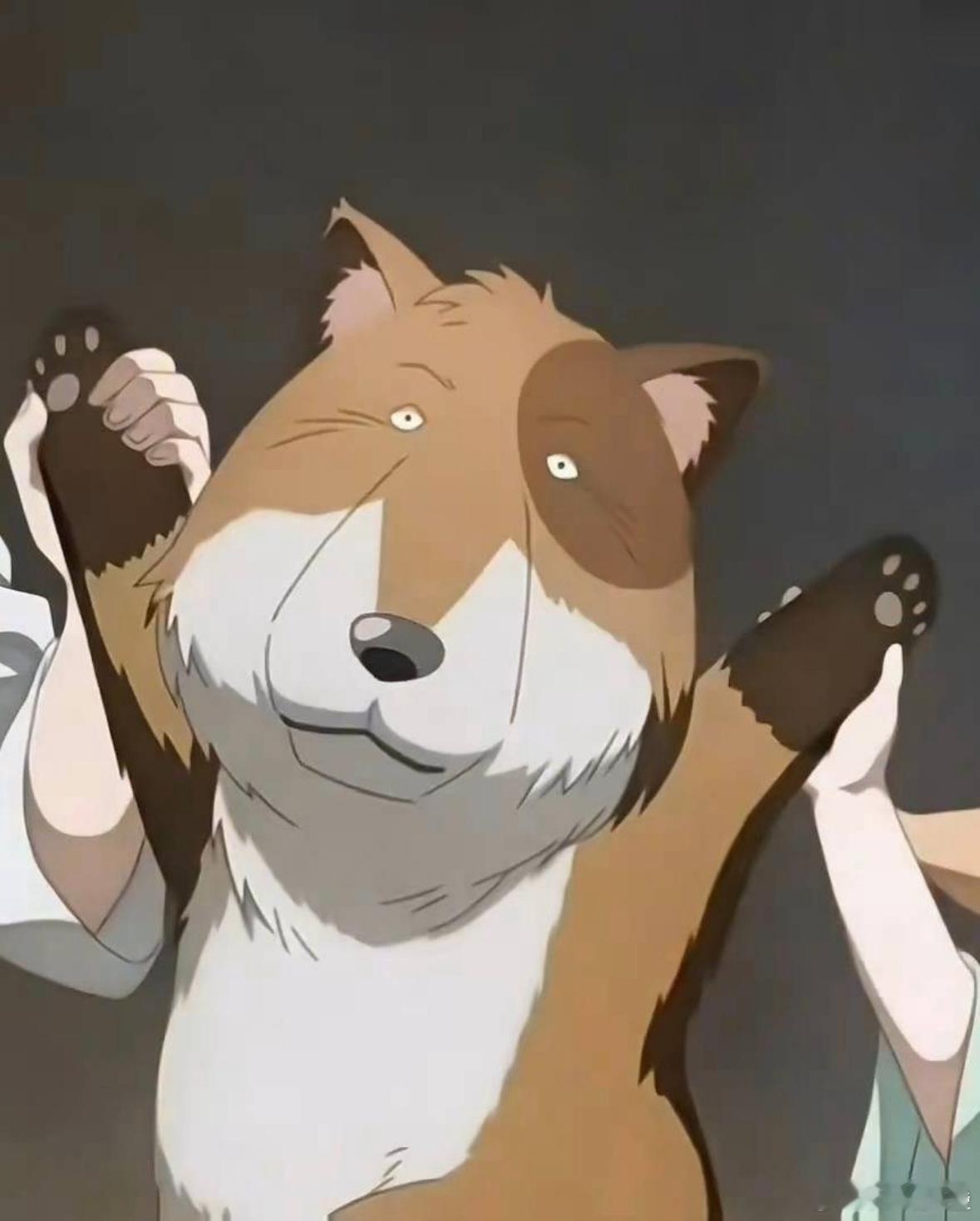 土狗（沙狐）真的神还原了，土萌土萌的[笑cry]天地剑心 ​​​