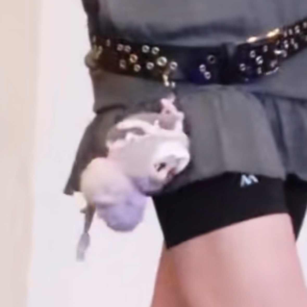 🧸娃是这个吧？裤子还是maiaactive 的虞书欣maia active品牌