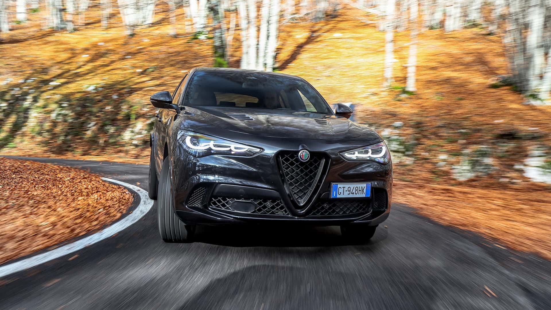 Alfa Romeo Stelvio Quadrifolio super Spo