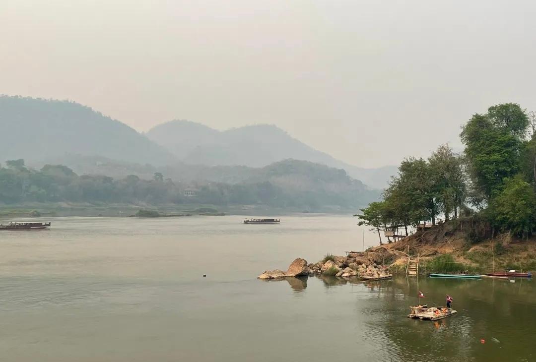 老挝🇱🇦的琅勃拉邦，被河流轻轻环抱着～
满街的鸡蛋花热热闹闹开着，寺院干净又