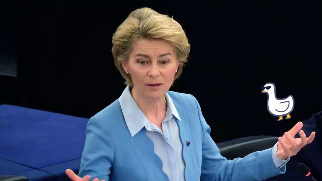 马克龙还没加税，中方先发制人

12月23日，中国商务部正式对原产于欧盟的进口相