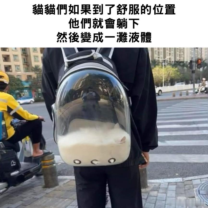 [可爱] 
