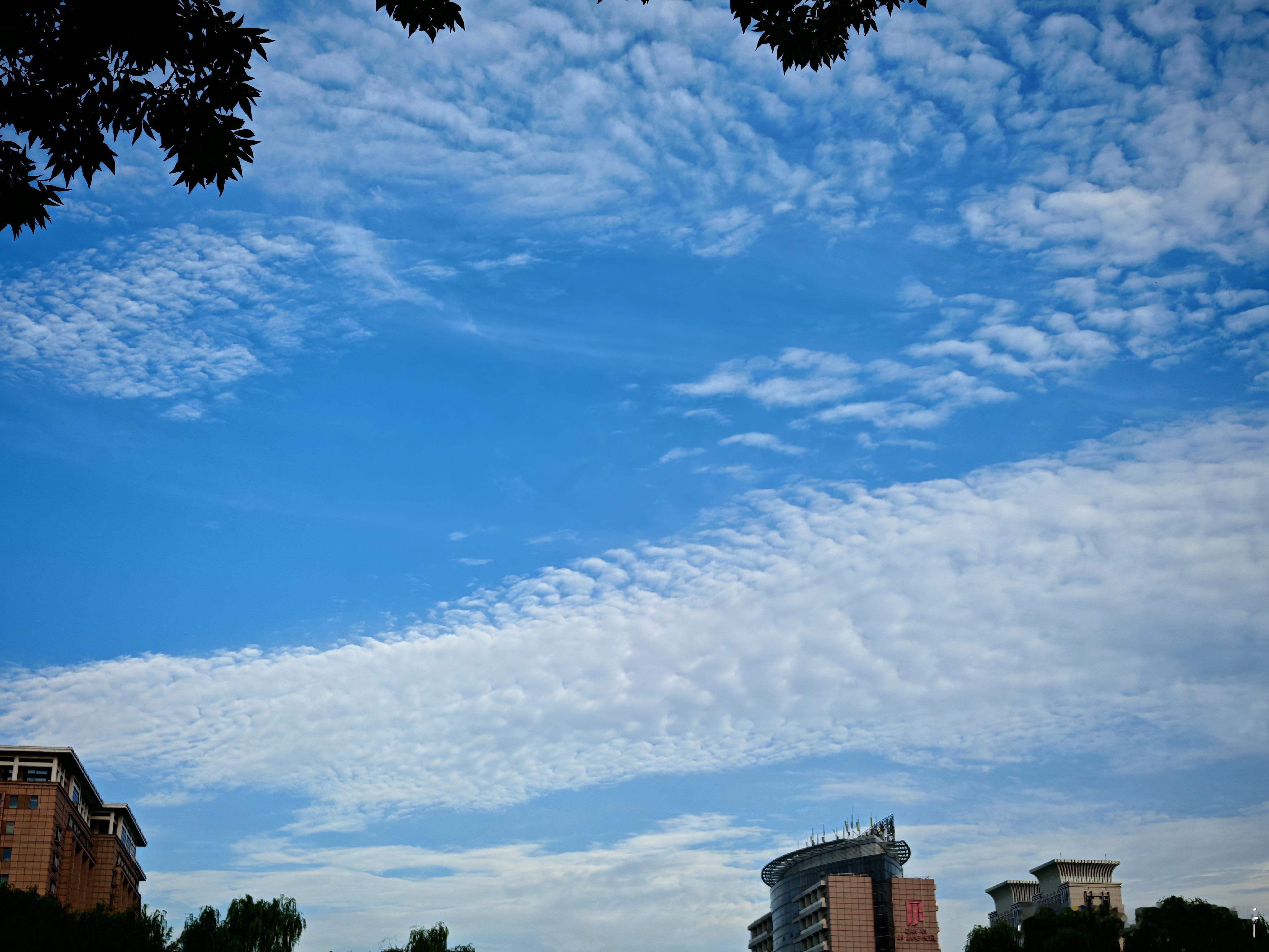 这大三伏天早晚咋这么凉快呢？夏天快过完了吗？ ​​​