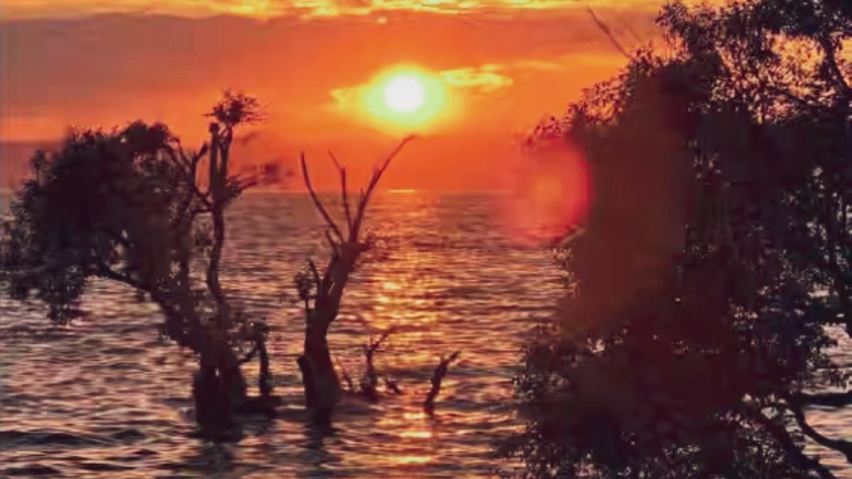 🔥王官湿地公园拍照攻略封神！17:30-19:00落日黄金档，孤独树、木栈桥、