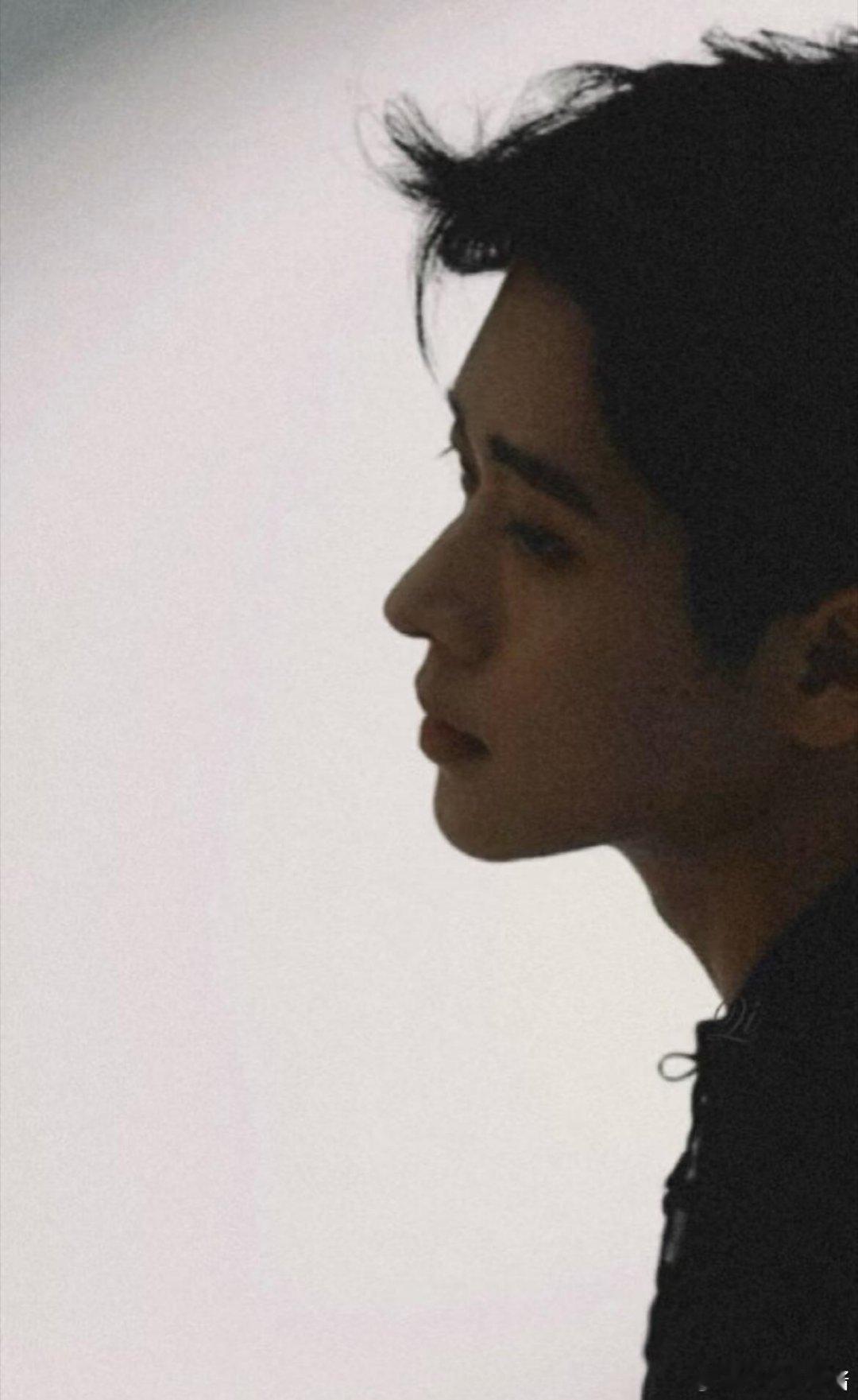 丞磊有这样的好鼻子成何体统丞磊侧颜鼻子杀直接帅到失语🌟这样的好鼻子确实为角色增