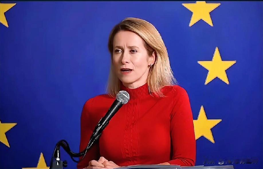 12月16日凌晨的最新消息速报，全都不容错过，第六条：欧盟对乌表态：欧盟外长卡拉