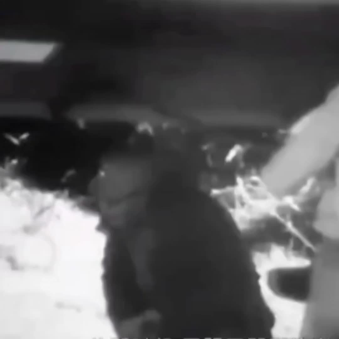 文能提笔安天下 武能上马定乾坤