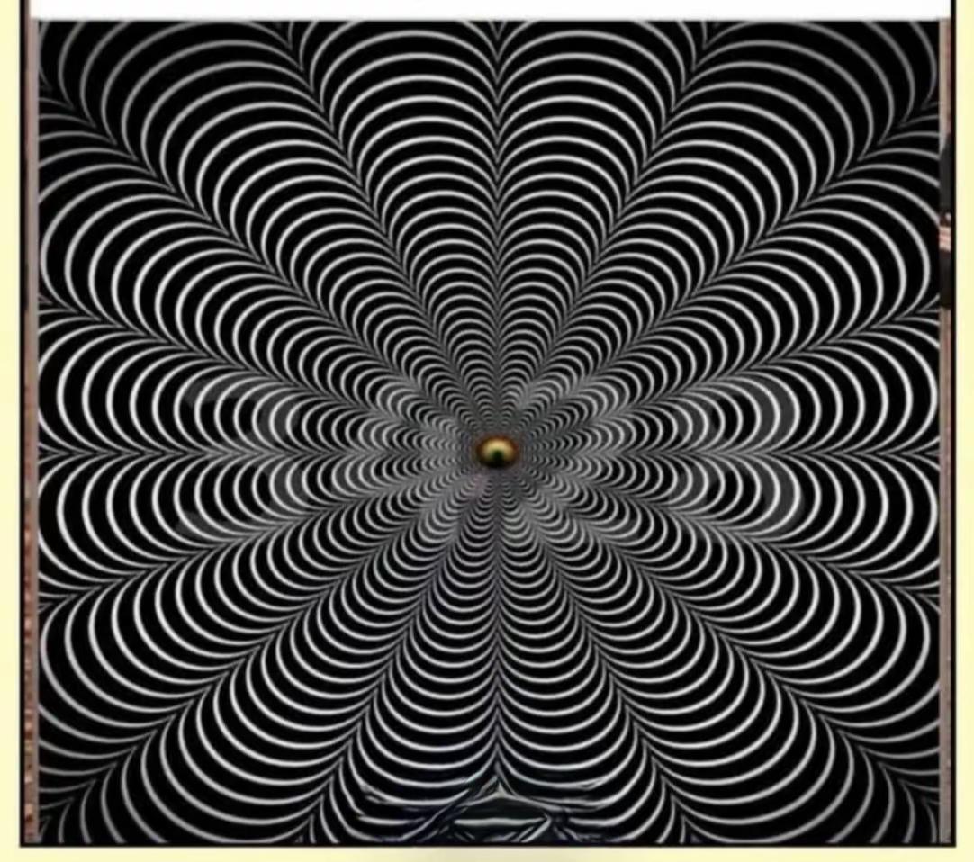 这图看着有点晕，像个旋涡。你看到了几个数字🔢，读出来听听，看看你的眼力如何[作