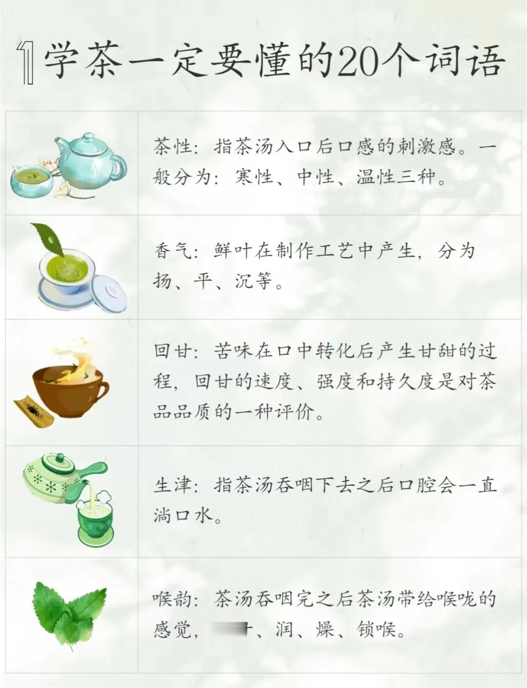 学茶必懂的20个词语，建议收藏！
