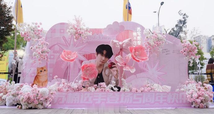 苏写辉煌，楠可阻挡五周年快乐，鲜花与掌声里闪闪发光✨2026pel春季赛 苏Pe