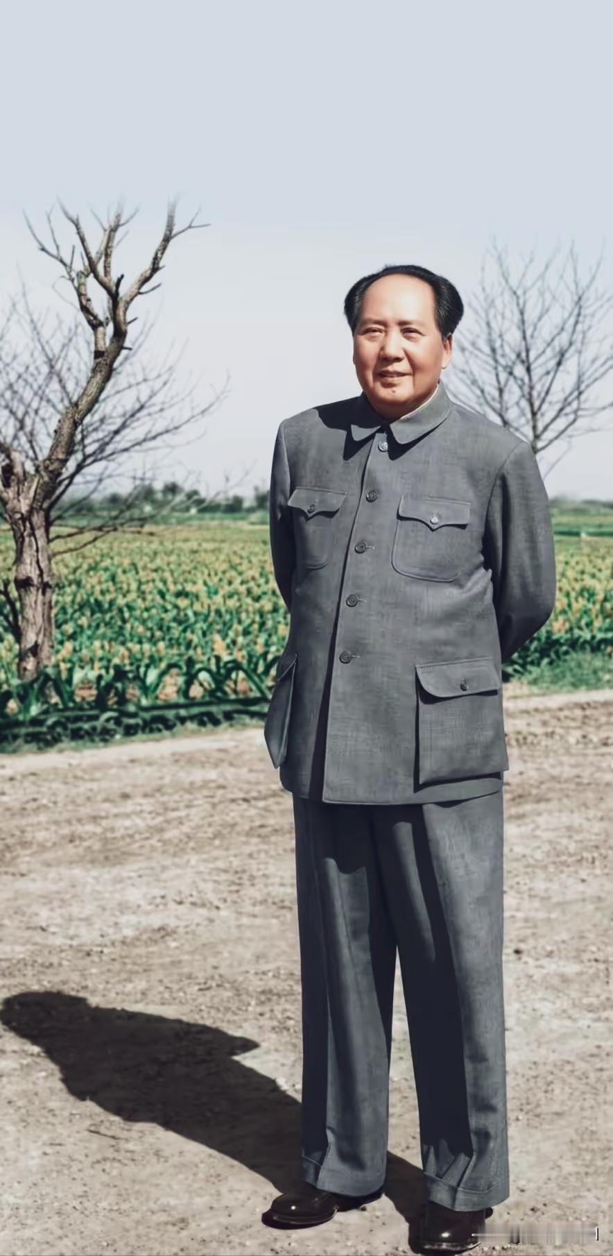 那年，春天来了，毛主席高兴地站在老百姓的庄稼地旁照张相，感觉十分踏实，心里暖洋洋