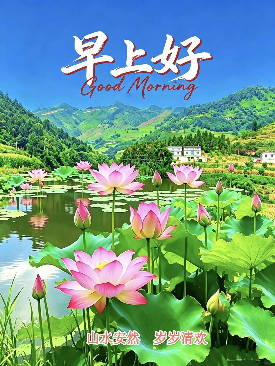 今天是2026年上半年的最后一天，夏蝉鸣鸣，夏荷盛放，万物蓬勃生长，处处欣欣向荣