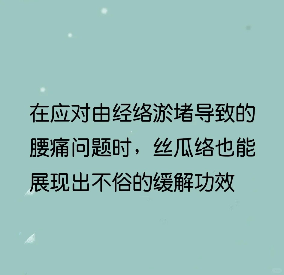 腰痛，……丝瓜根（丝瓜络）……