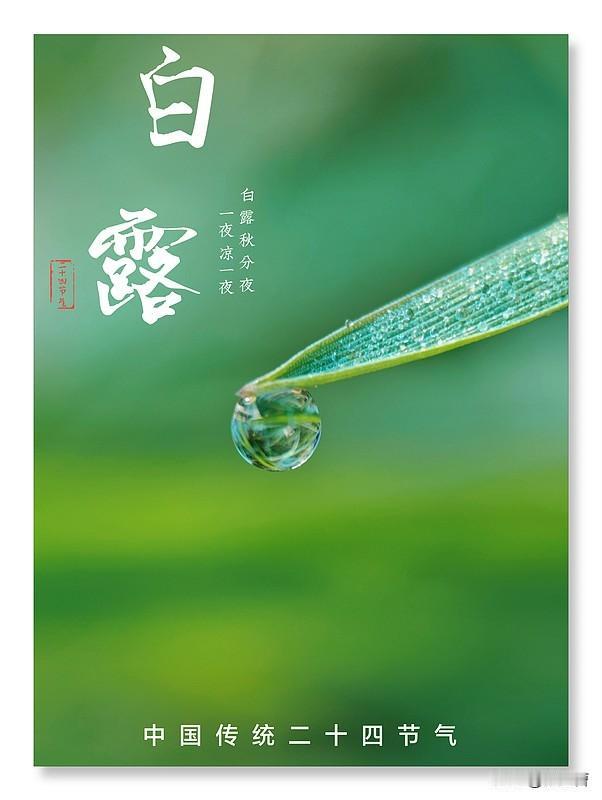 今日白露到🍂
白露一来天气凉，秋风吹落树叶黄。
一场秋雨一层凉，
一回白露一层