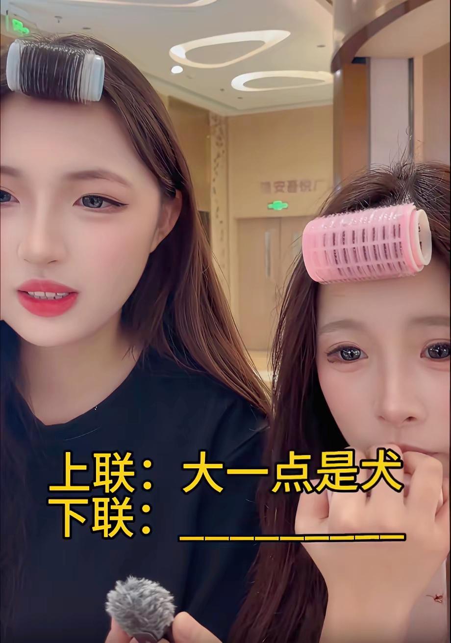 拆字上联难住大半网友：大一点是犬，你能工整对出下联吗

趣味对联 脑筋急转弯