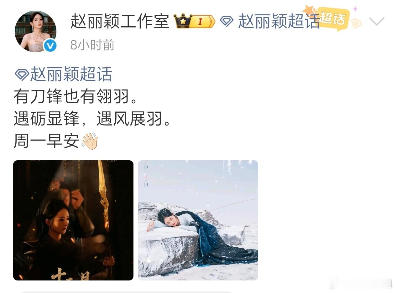 赵丽颖有刀锋也有翎羽 赵丽颖十二月角色日历更新🈶是我们《与凤行》的沈璃王爷，有