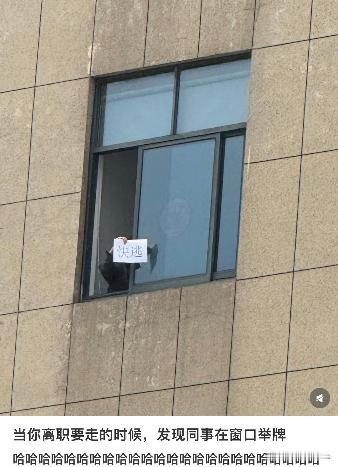 2026年2月底，一名员工离职的最后一天，抬头竟看到办公楼窗边，同事高举着一张写