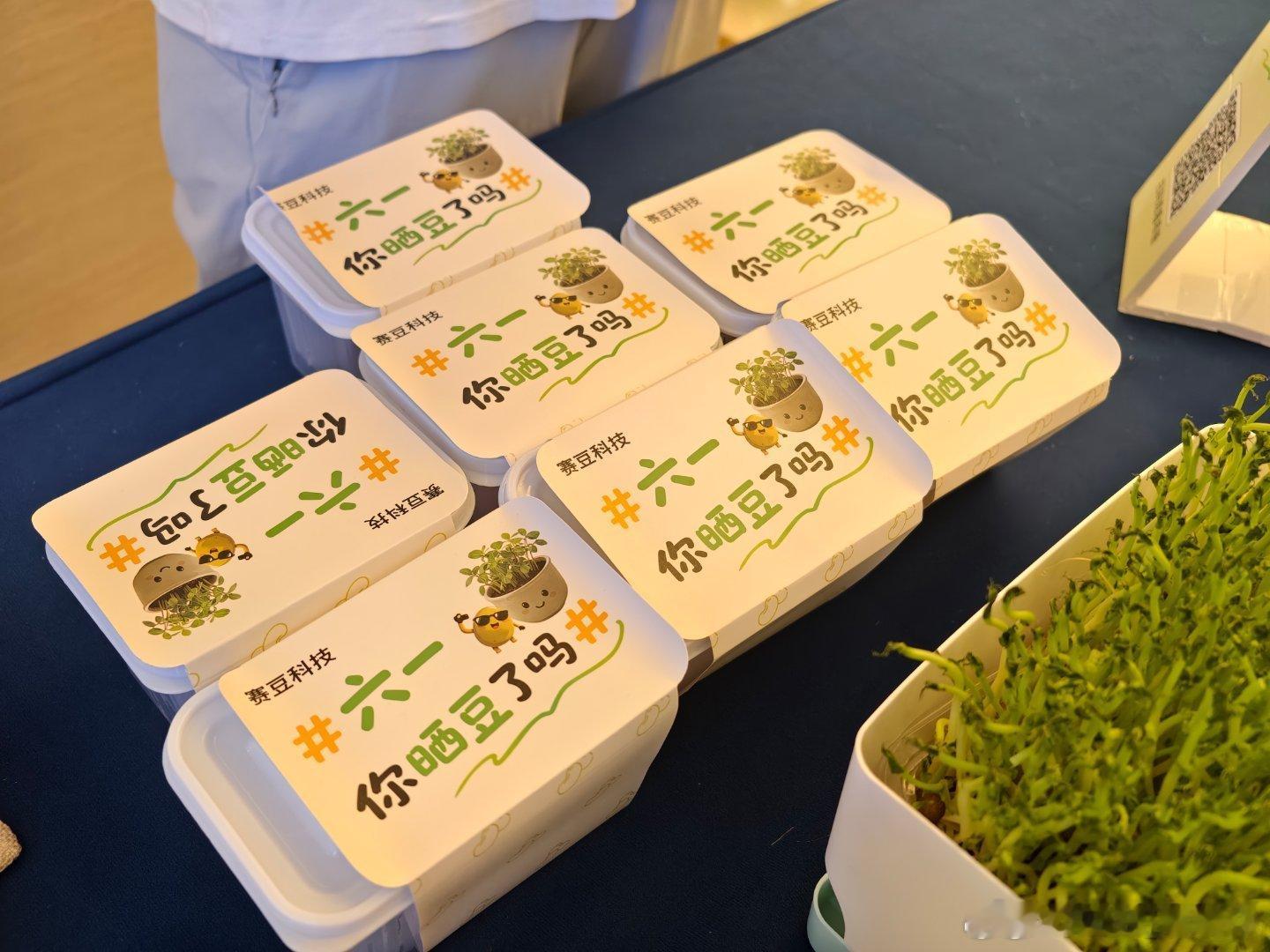 赛豆科技“六一晒豆节”整活儿！更名+国资入局，AI汽车赛道要变天？六一不止是儿童