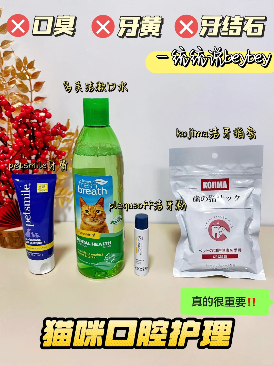 猫咪口臭怎么办？我自有妙计！