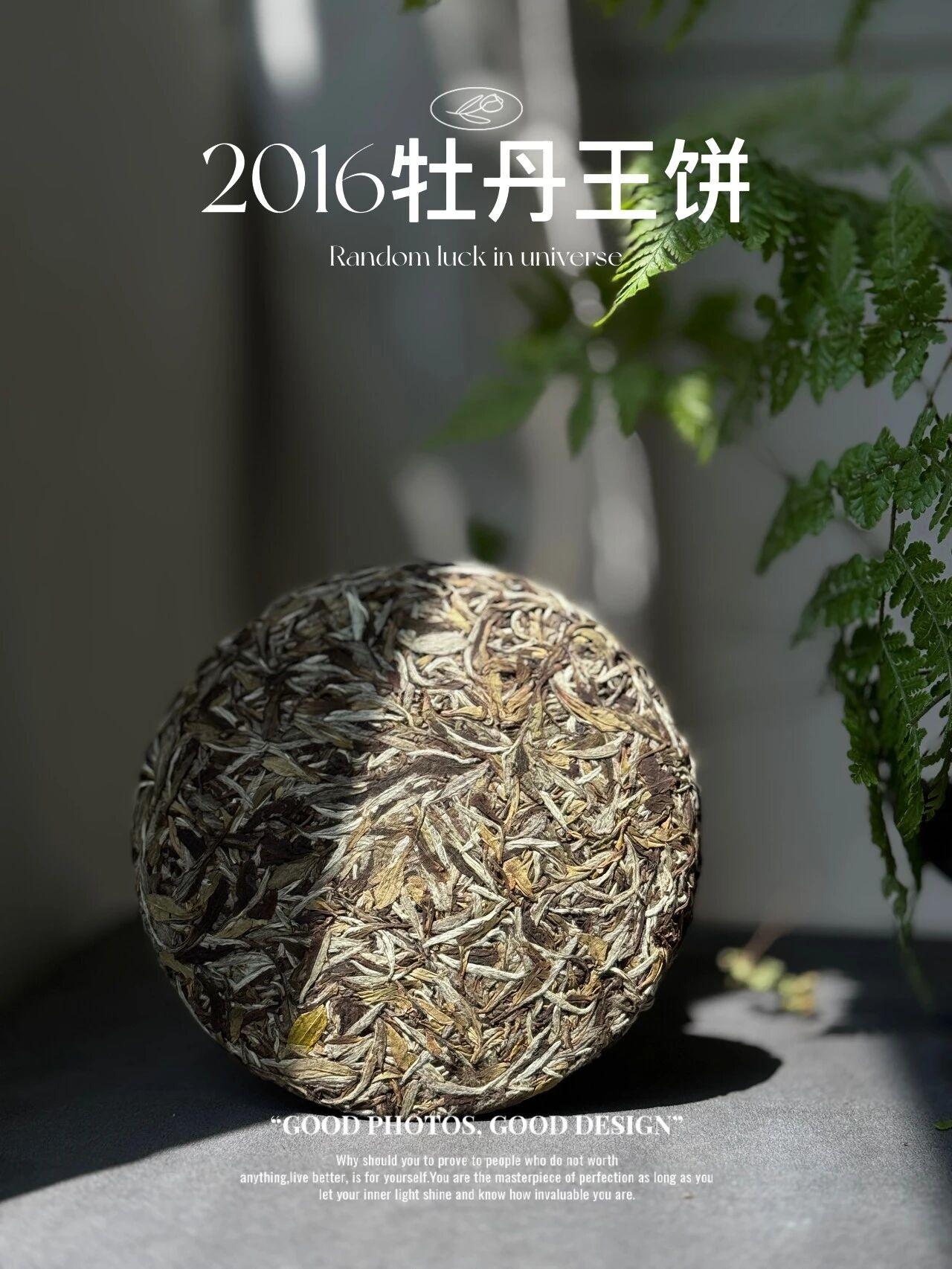 为什么说要存点白茶？
第一，省钱。
买新茶回来自己存，直接省下大半仓储成本，不用