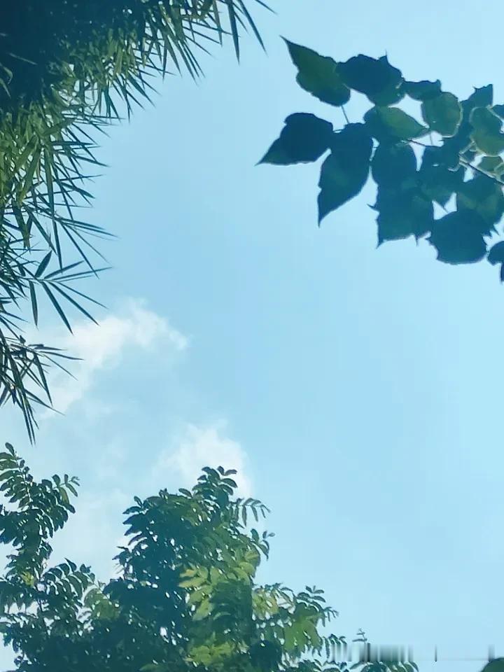 立秋过后，到底还要热多久？大家都在说秋老虎来了。虽说现在不会再出现四十度的极端高