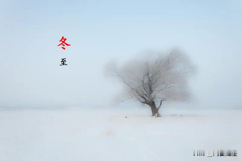 今天是冬至，白昼最短，黑夜最长。古人称冬至为亚岁，视作吉日，阴阳二气在此自然转化