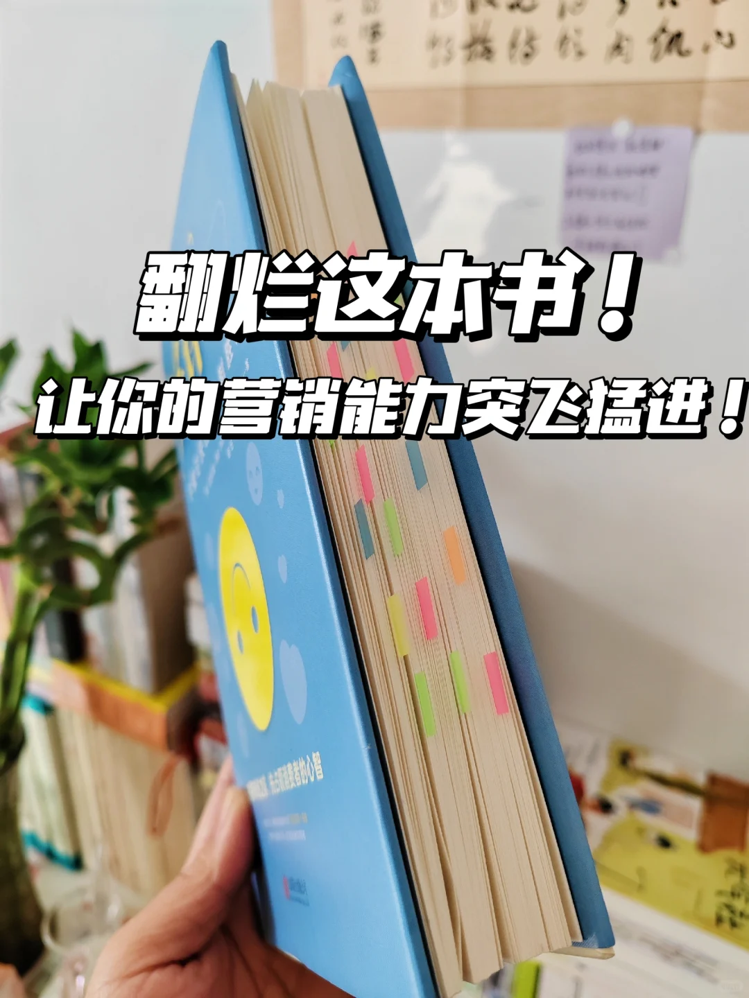 今年读过，最能重塑思维逻辑的书❗