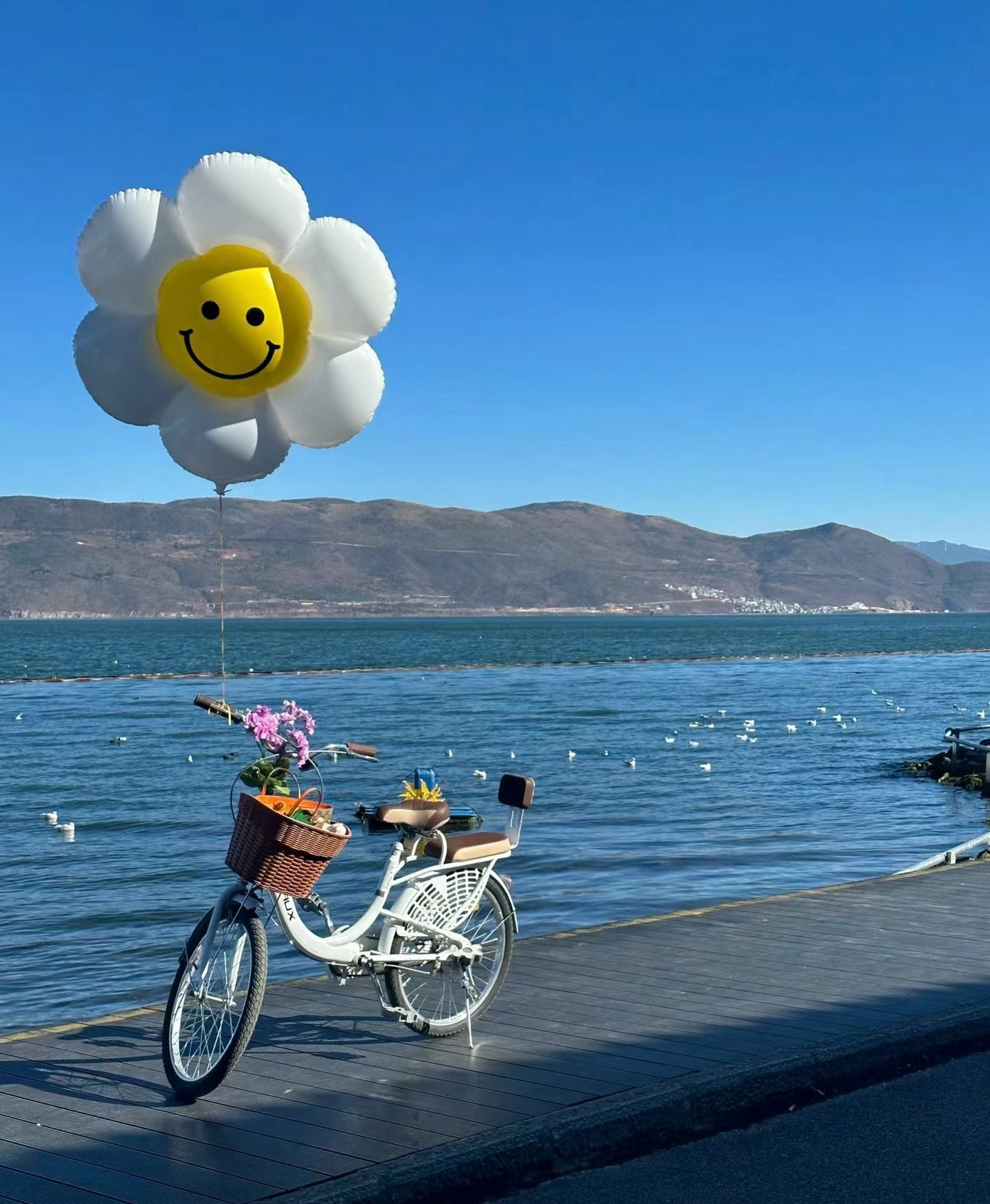 读书使我成为照亮自己的人我的私人宝藏书单书评 你是我做过最美的梦——假如一生只能