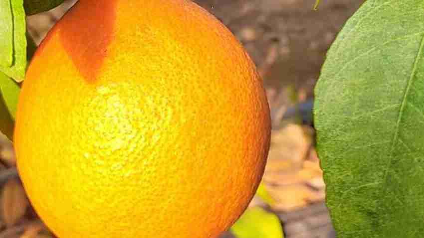 我的今日状态：😁轻松愉快
我这里的天气：☀️晴天