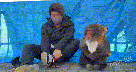 怪不得你戴个口罩
大意了……
