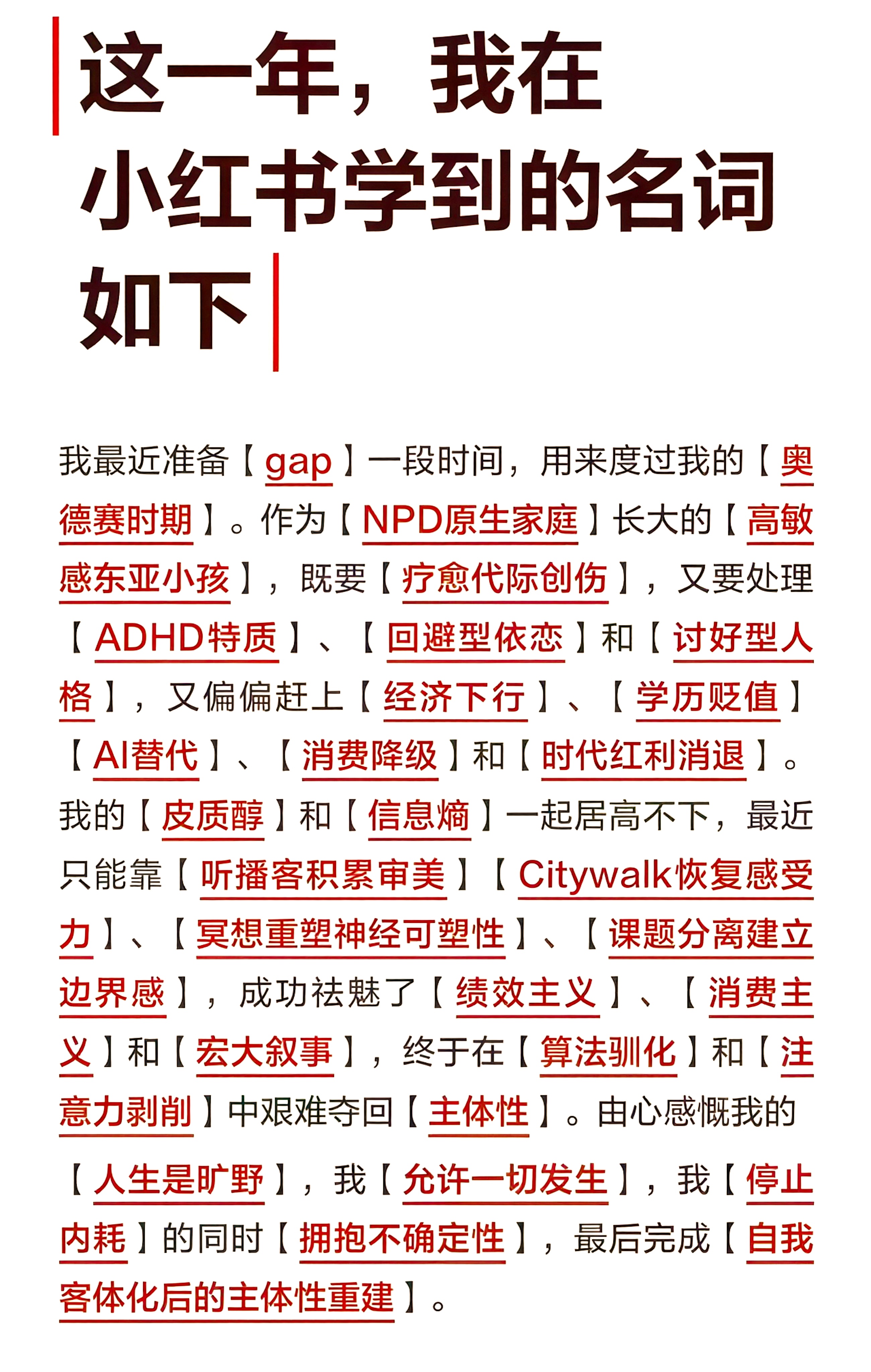 这一年，我在小红书学到的名词如下[doge] ​​​