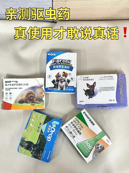 新手养狗乱选驱虫药❓小心狗狗被虫“生吞”😱