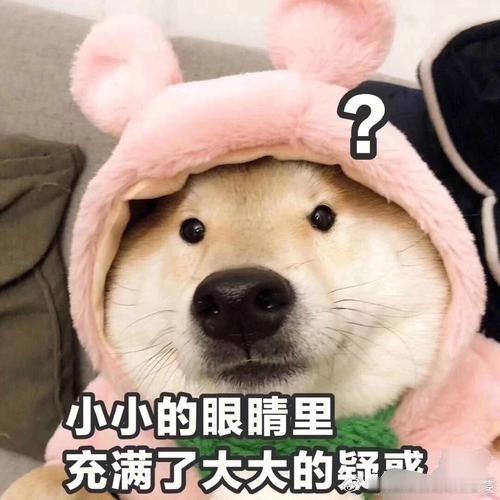 沈阳暴风雨温泉洗浴我就好奇，那淋浴用的是凉水还是温水？我觉得用凉水比较应景，用温