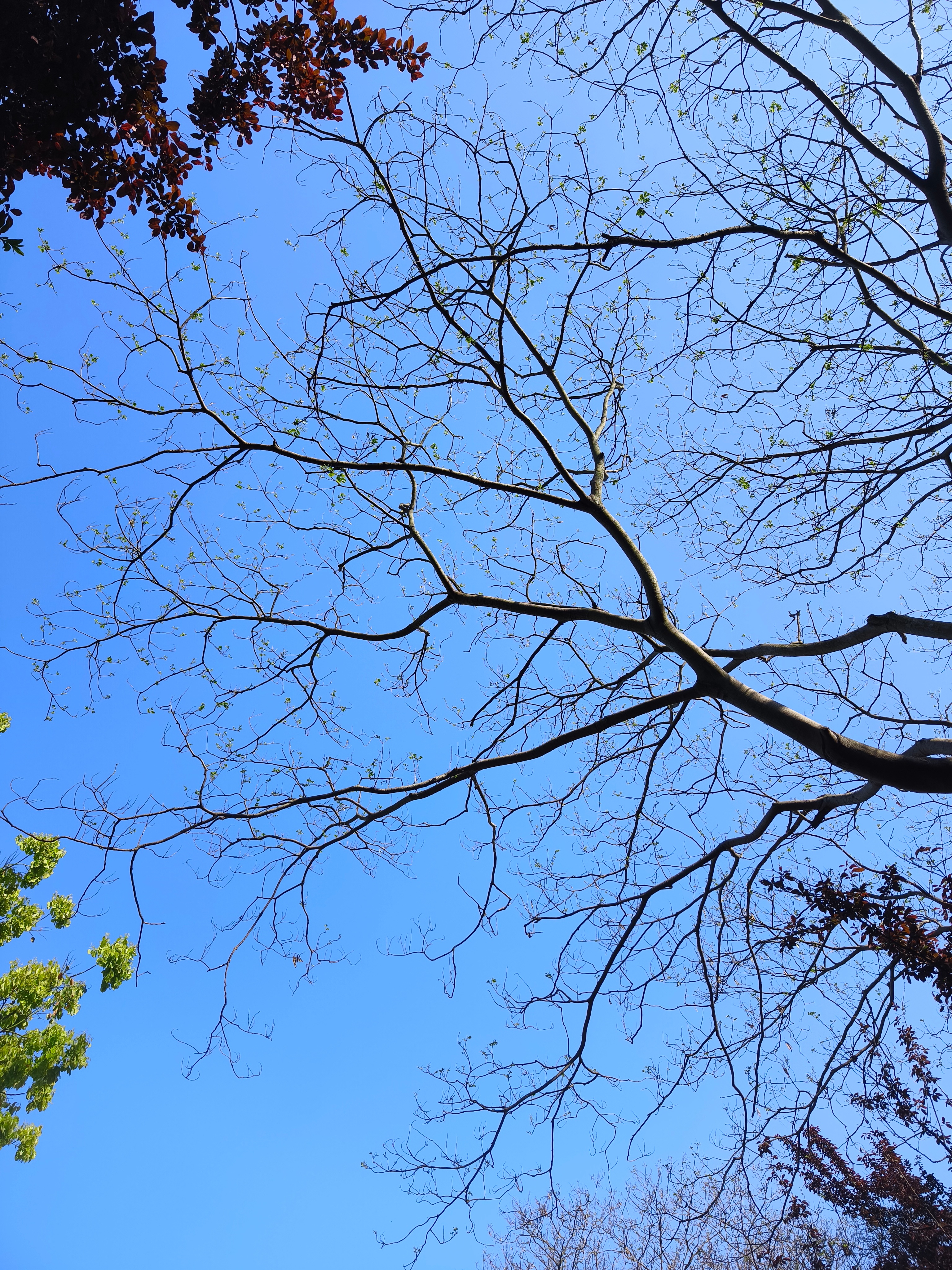 天真好啊，就是蚊子多了点。
