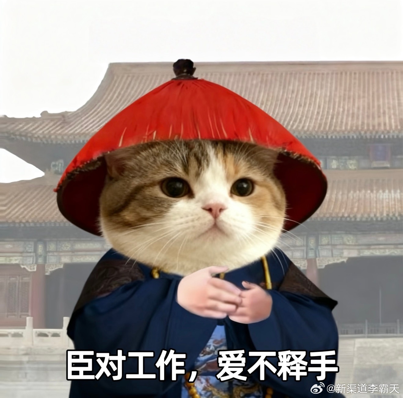 未来五年哪些工作更吃香AI 是相对清晰的主线，AI 背后是算力，算力背后是电力…