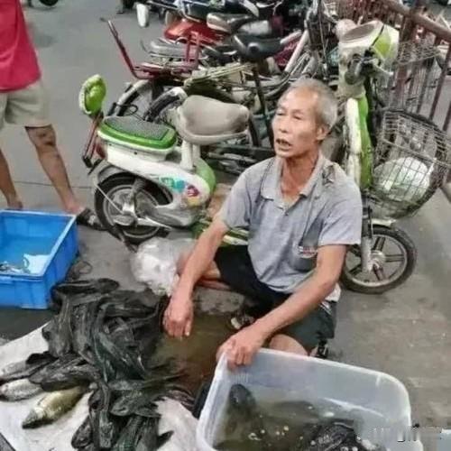 大爷想半天也没想明白，辛辛苦苦钓上来的鱼，怎么一条都卖不出去？