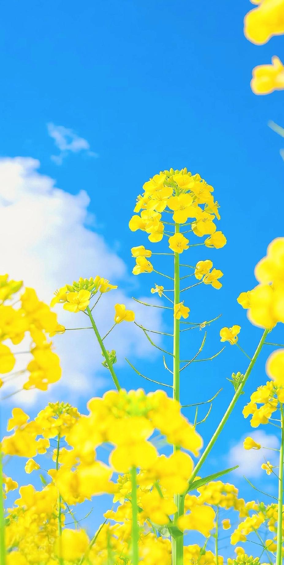 退休后要注意！四处显摆等同社交自杀。

逢人查退休金，拿儿女当战利品炫耀，拿孙子