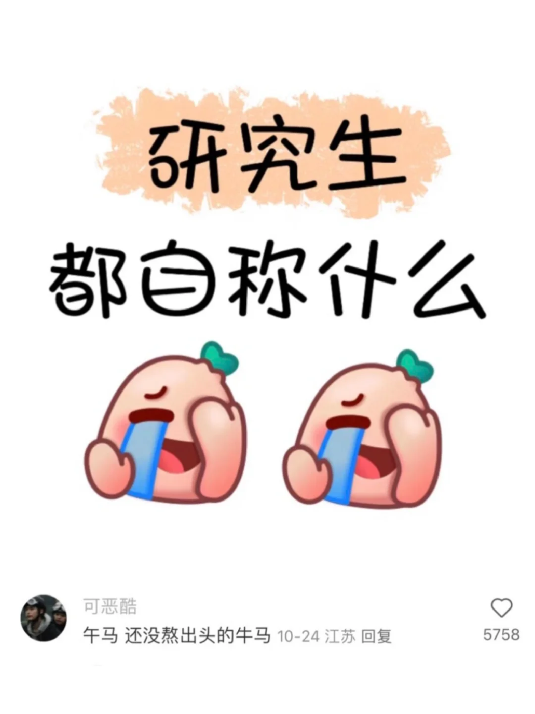 当代研究生现状