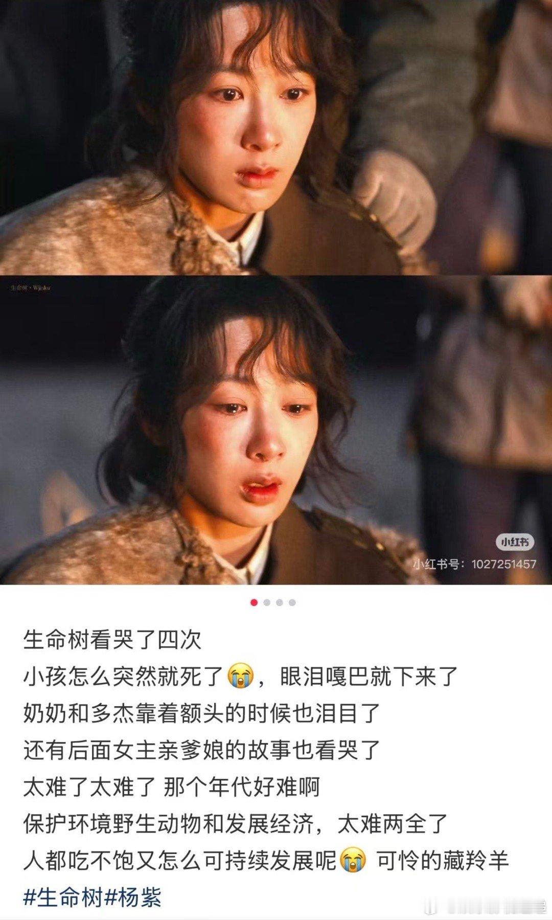 看生命树以为高反了其实哭猛了 白及拼命跑去救姐姐的时候真的绷不住了 就算自己身在