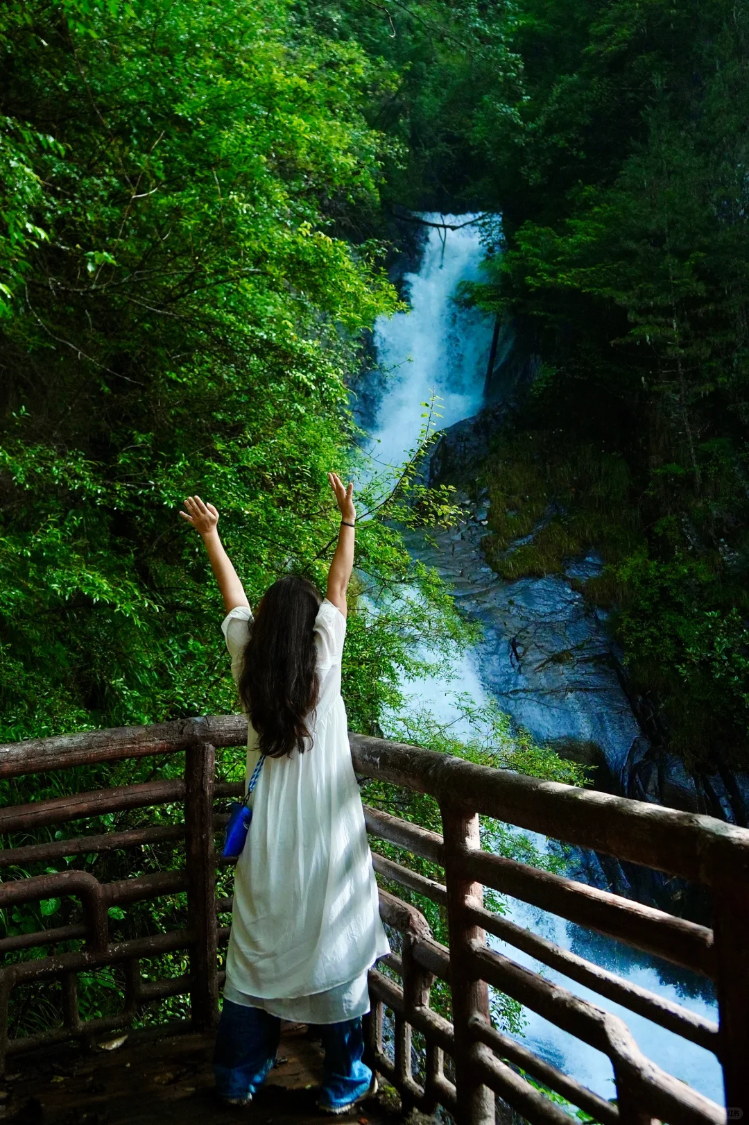 不会只有我在高桥沟没捡到菌子吧！