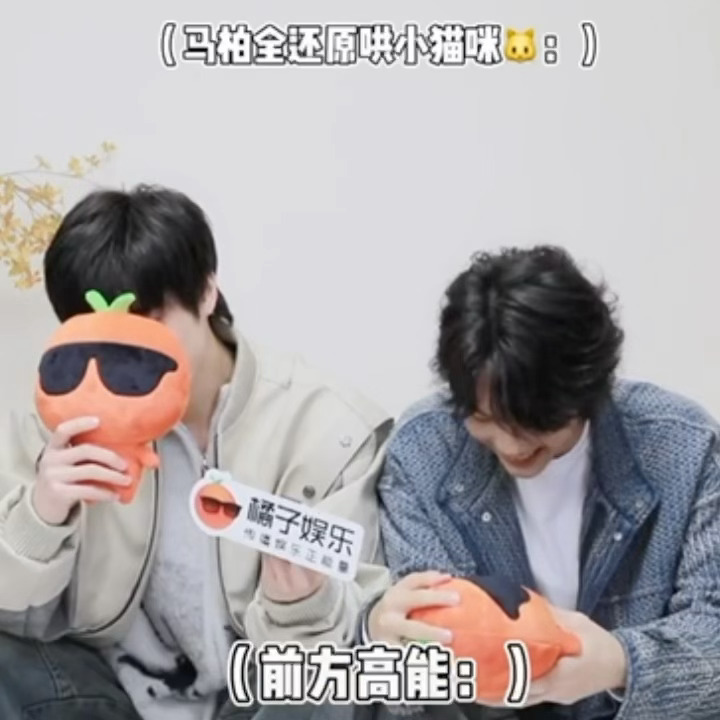又把猫代入自己了[费解] 