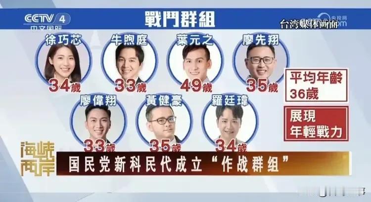 国民党败选后成立新科民代“战斗群组”，由34岁的“大嘴巴”民代徐巧芯领衔，平均年