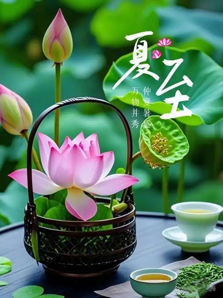 早上好！
🐎🍒²⁰²⁶/₀₆.₂₁星期日🍒🌾🌾
🌻时至夏至，日光悠长