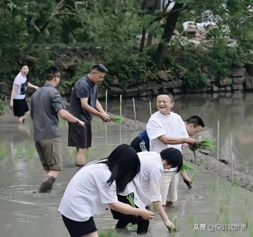 这群中年人插秧时笑得多开心啊！同为中年人，不少人在城市里或为保住一份工作殚心竭虑