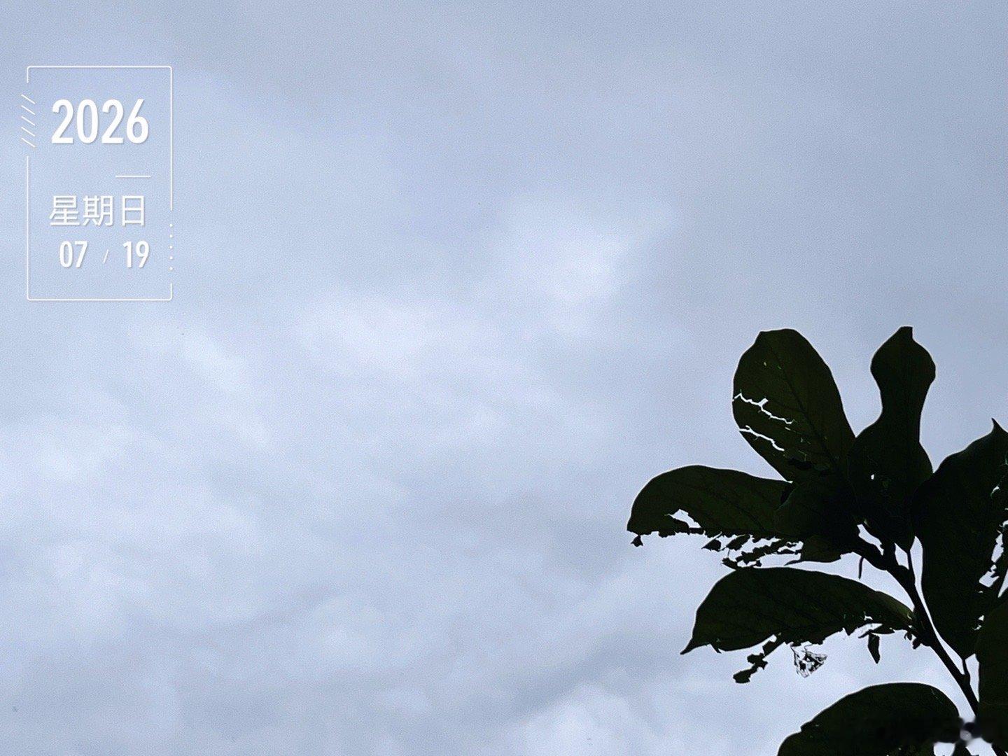 此时此刻 20260719。周日。六月初六。雨后阴湿的天空，略闷没太阳怎么晒龙袍